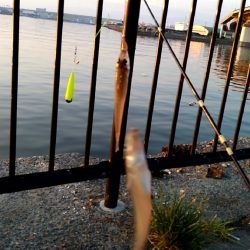 アタリが楽しいキス釣り