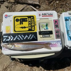 久しぶりのローカル大会出場でした