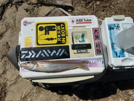 久しぶりのローカル大会出場でした