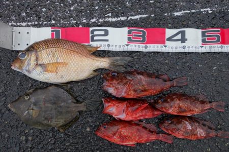 気負っていない時に限って