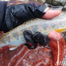 梅雨時の渇水は厳しい