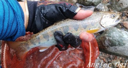 梅雨時の渇水は厳しい