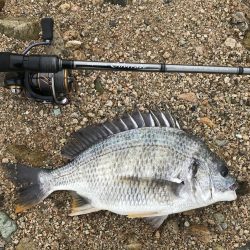 シャローフラットでチニング