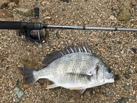 シャローフラットでチニング