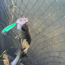 大分川　河口で灼熱のデイゲーム