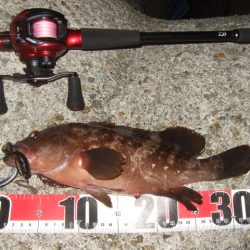 今シーズンベスト