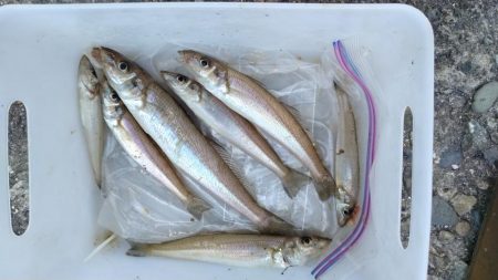 播磨新島釣行２０