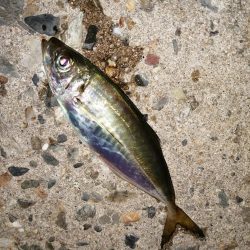 時合も短時間に