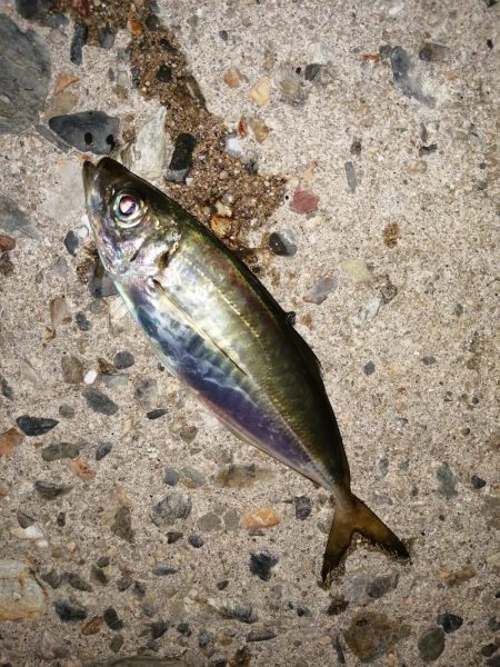 時合も短時間に