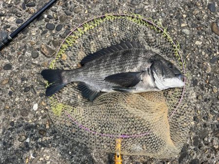 雨の後の川濁り