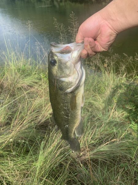 久しびりのバス釣り