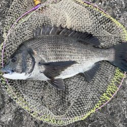 曇りで最高の釣り日和