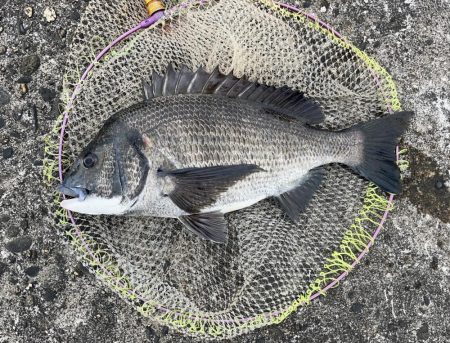 曇りで最高の釣り日和