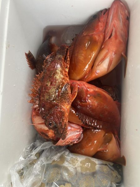 カヤックでアカハタ祭り