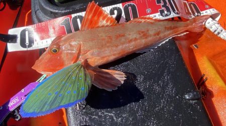 カヤックでほうぼう