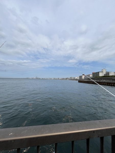 全方向イワシさん