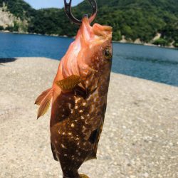 香住ふるさと祭りに帰省