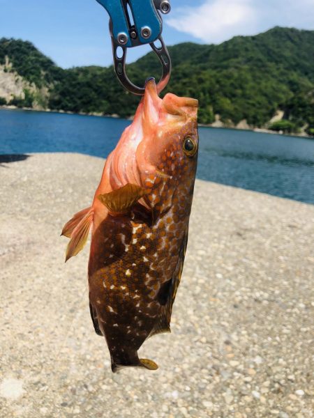香住ふるさと祭りに帰省