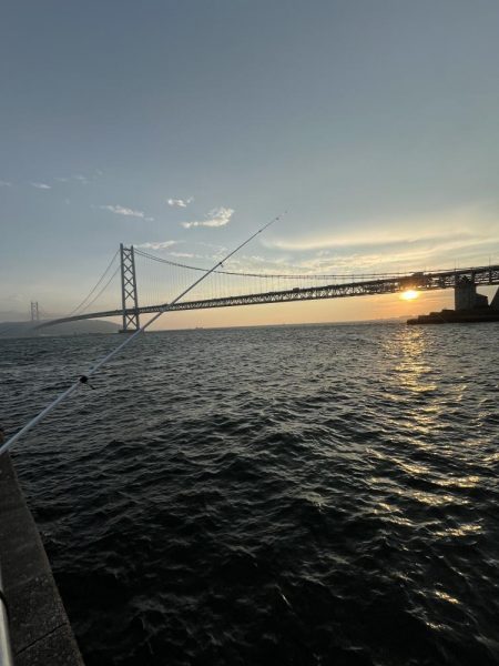 サビキ御三家回遊中