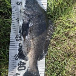 イチノ兄弟、釣果!