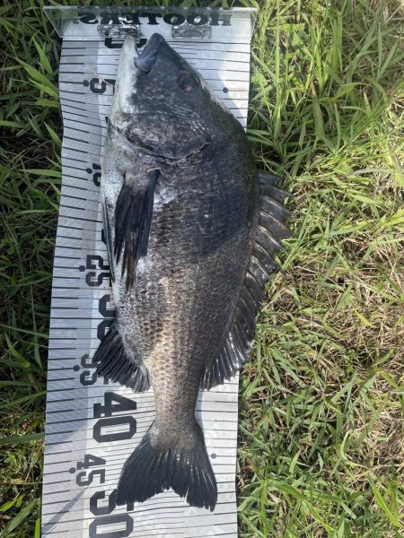 イチノ兄弟、釣果！