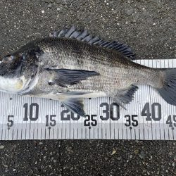 イチノ兄弟、釣果！