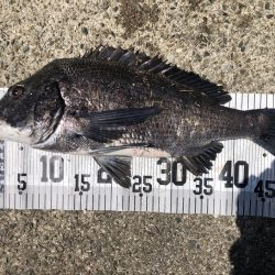 イチノ兄弟、釣果！