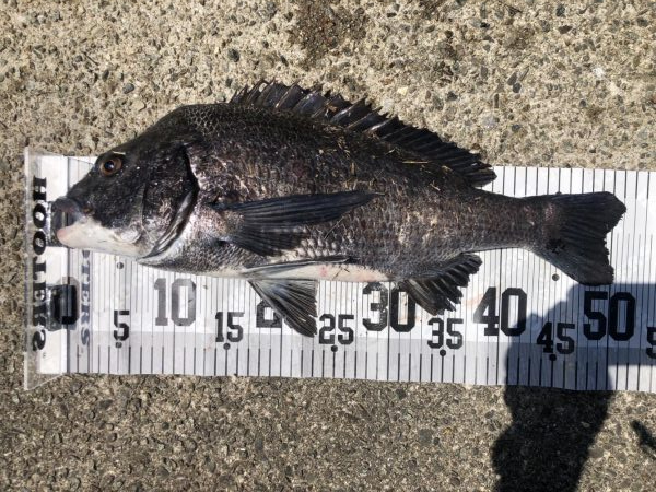 イチノ兄弟、釣果！