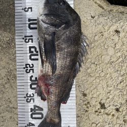 イチノ兄弟、釣果!