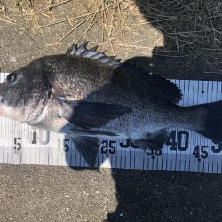 イチノ兄弟、釣果!