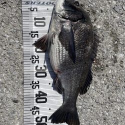 イチノ兄弟、釣果！