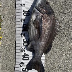 イチノ兄弟、釣果!