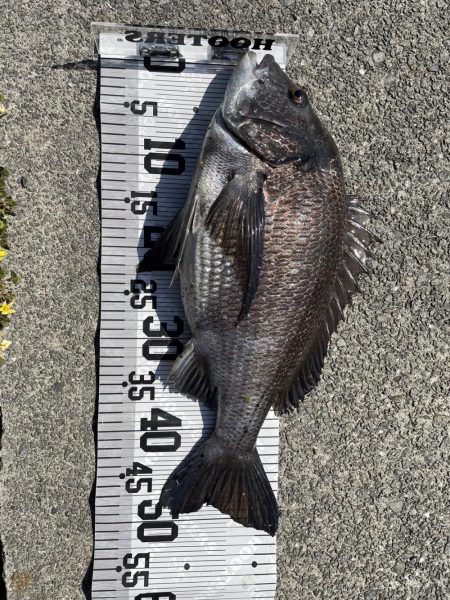 イチノ兄弟、釣果！