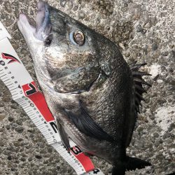 青流して自己記録！