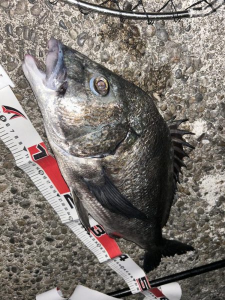 青流して自己記録！