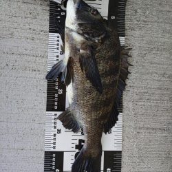 あと一歩で歳なし