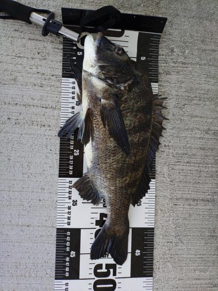 あと一歩で歳なし