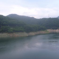 梅雨明けの淡水魚