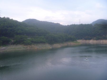 梅雨明けの淡水魚