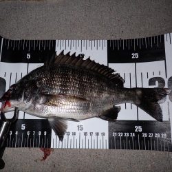 サイズが小さくなってるようで…