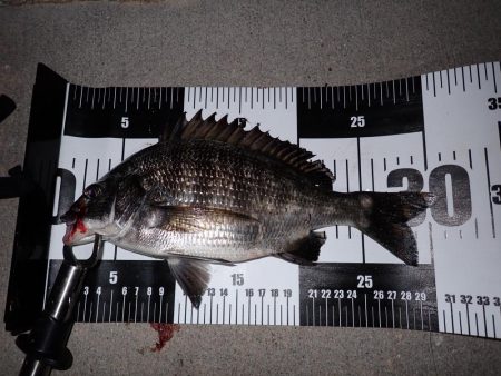 サイズが小さくなってるようで…