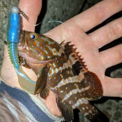 今シーズンワースト