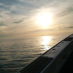 敦賀イカメタルゲーム