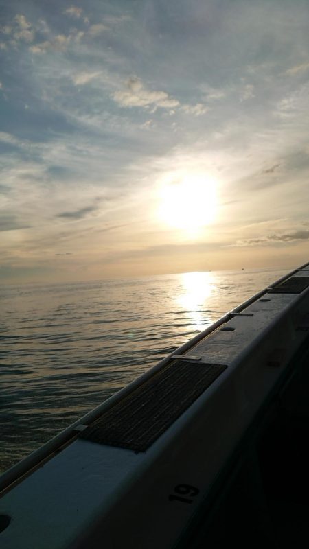 敦賀イカメタルゲーム