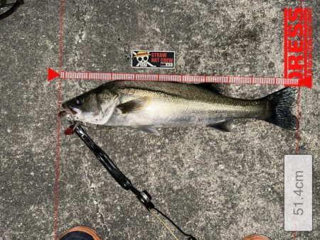 やっぱりボトムのネチりが正義！