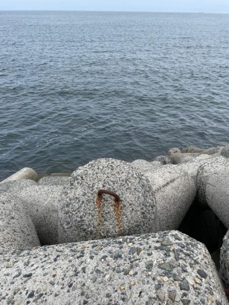 今季初タコ釣行渋め