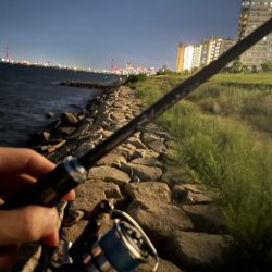 淀川ブリームゲーム