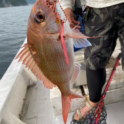 タイラバで高級魚