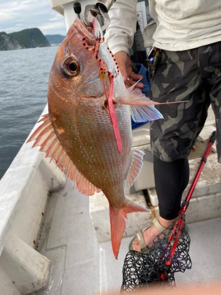 タイラバで高級魚