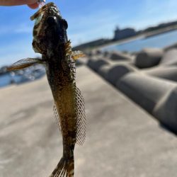 小物デイゲーム